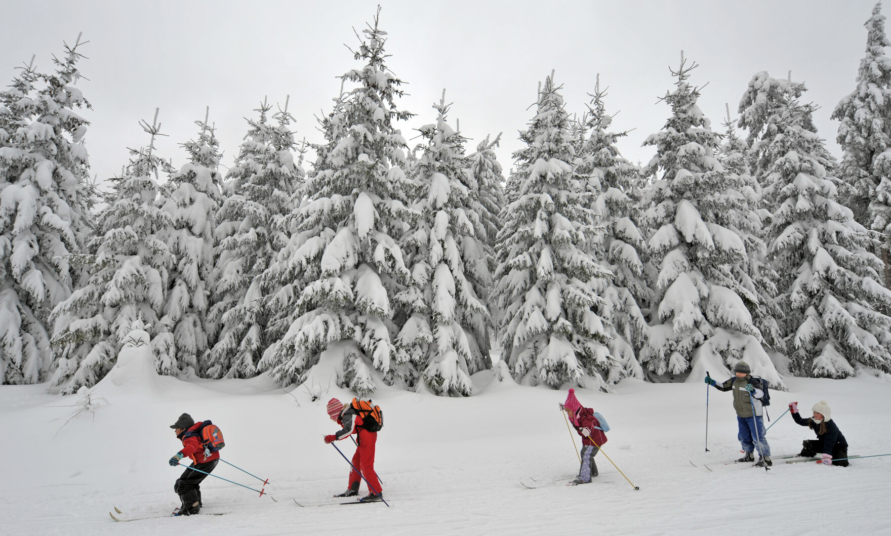 Fünf Kinder üben auf einer Skipiste das Skifahren. Im Hintergrund ist ein verschneiter Wald.