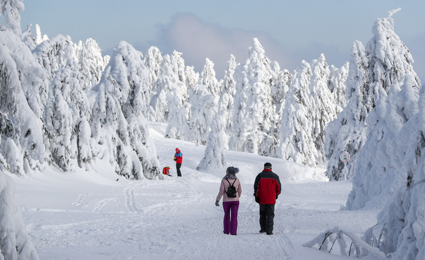 Zwei Spaziergänger laufen durch einen verschneiten Wald.